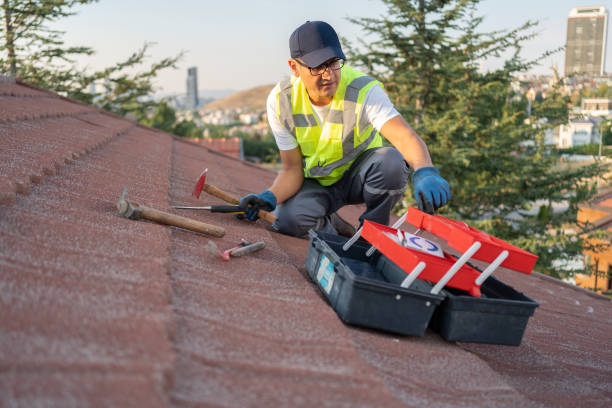 Best Historical Building Siding Restoration  in Luckey, OH